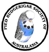 Pied Budgerigar Society